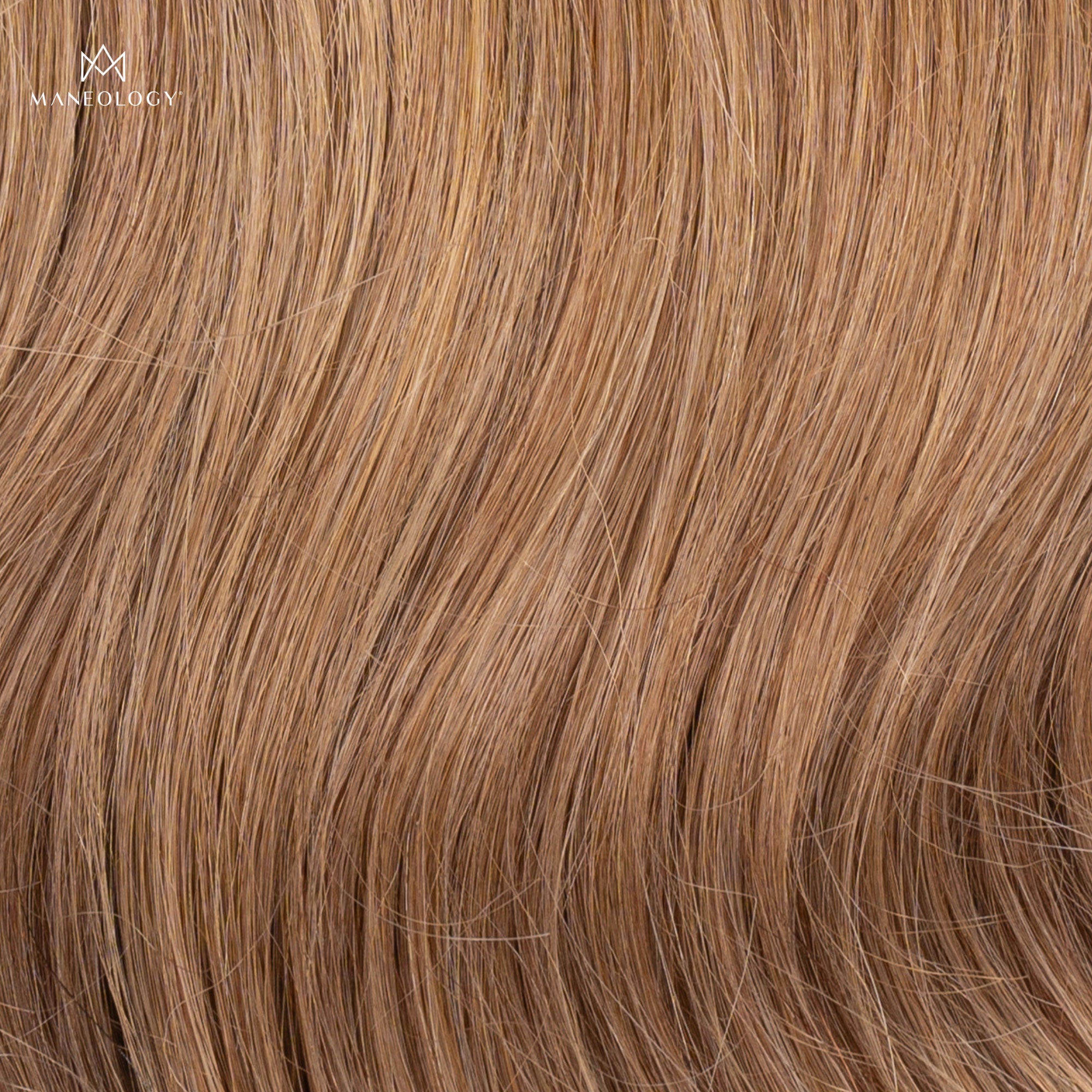 Duchess Elegant Clip-in Hair Extensions 14" Colour 10 Dark Blonde - Maneology Hair Extensions