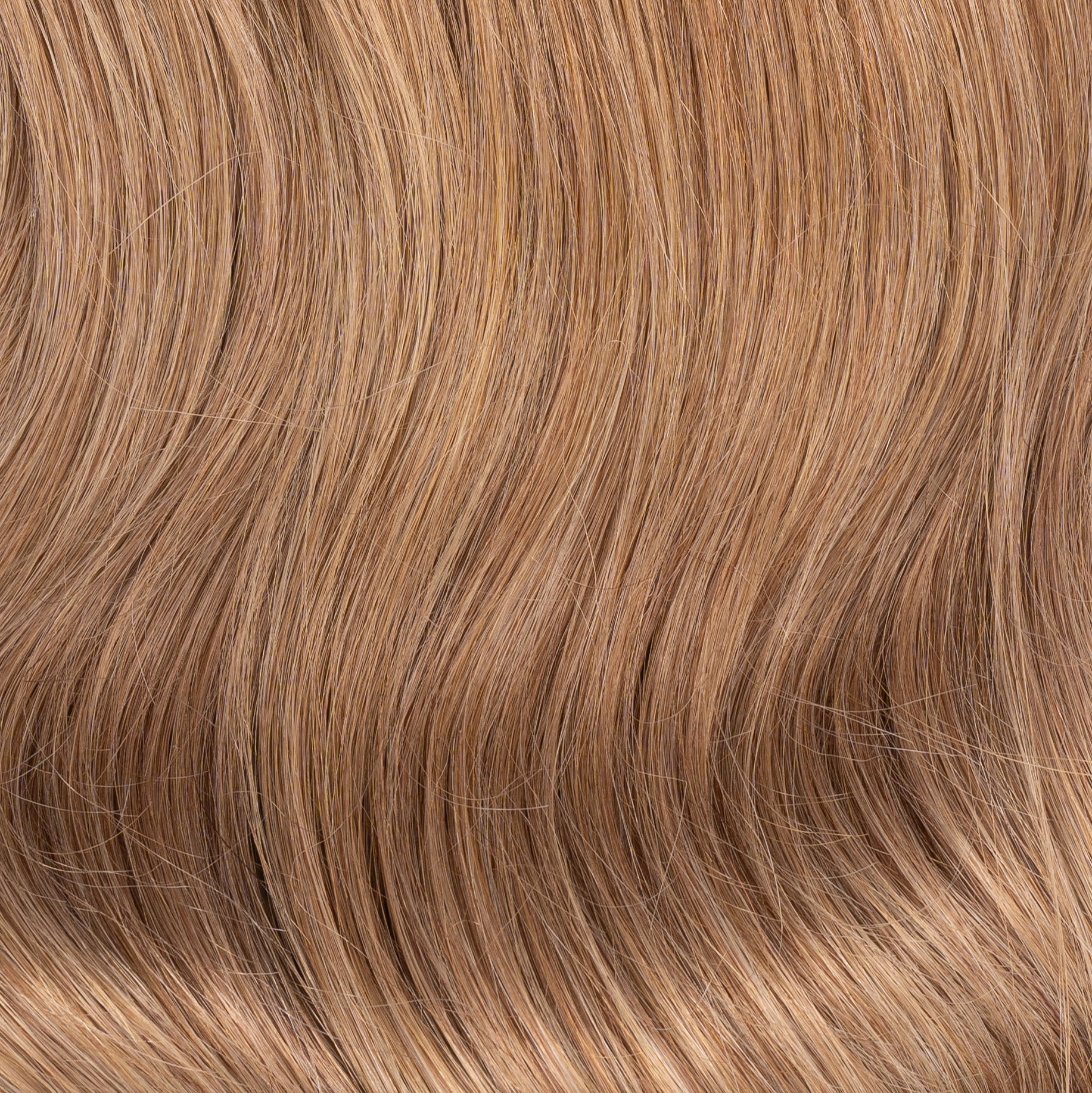 Duchess Elegant Clip-in Hair Extensions 14" Colour 10 Toffee Cream